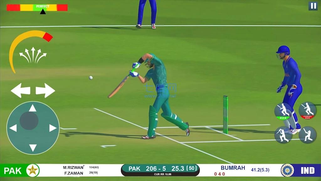 真正的板球挑战赛RealCricketChallengeGame手机版