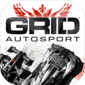 gridautosport下载包