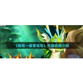 育龙岛揭秘外观功能全解析