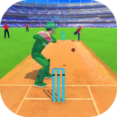 真正的板球挑战赛RealCricketChallengeGame手机版
