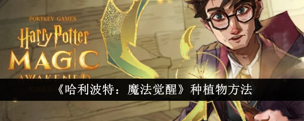 哈利波特魔法觉醒
