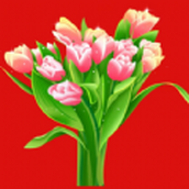 花儿朵朵游戏安装