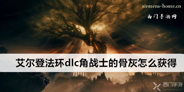 艾尔登法环