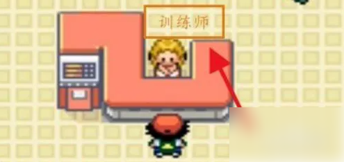 口袋妖怪
