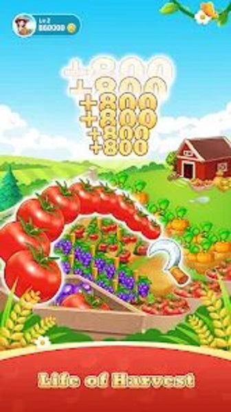 幸运庄园免费正版