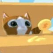 猫箱模拟器完整版