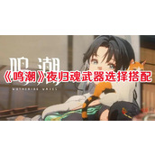 鸣潮夜归魂武器怎么搭配