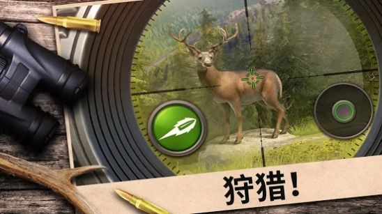 狩猎竞赛下载最新版