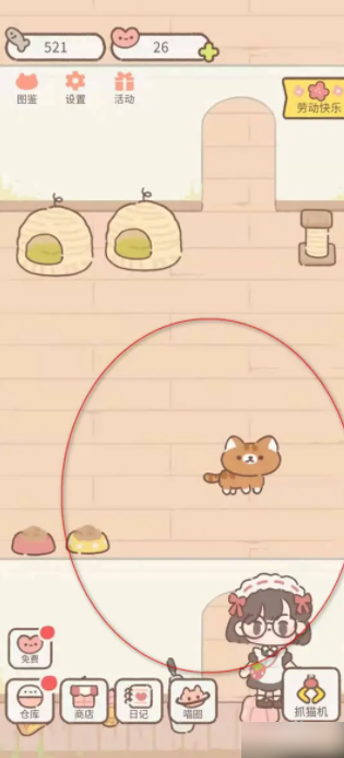 遇见你的猫