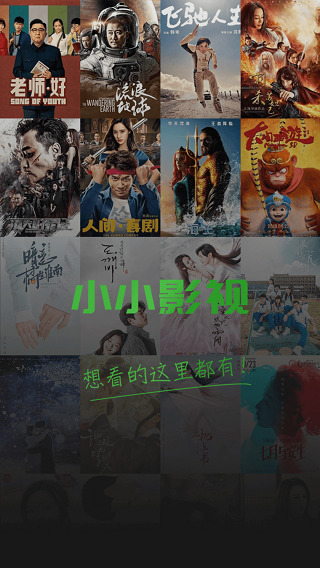 小小影视版