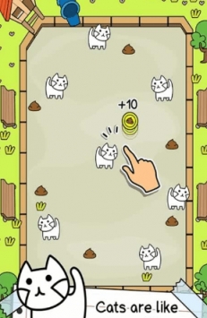 会进化的猫安装