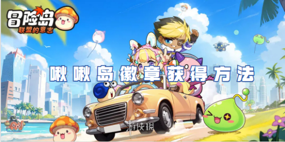 冒险岛联盟的意志