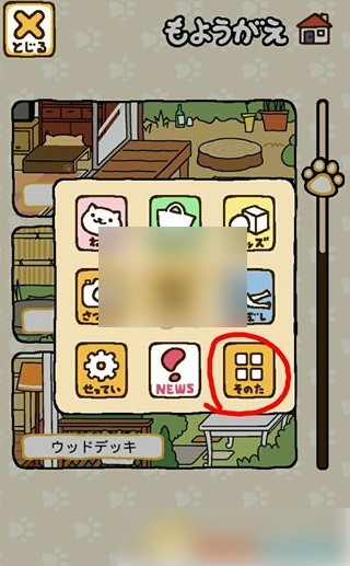 猫咪后院