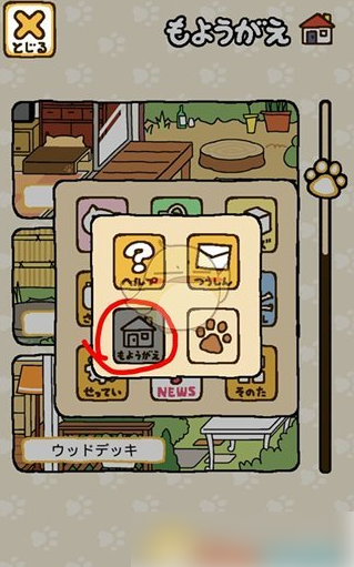 猫咪后院