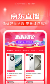 京东11.0