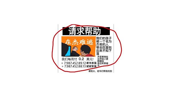小猪佩奇的午夜后宫杰哥版