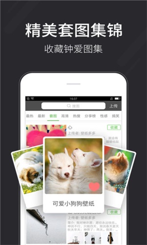 壁纸多多5.5.5.0
