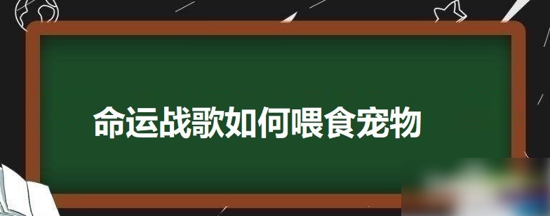 命运战歌