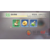 命运圣契怎么快速升级