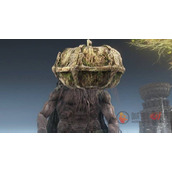 艾尔登法环香药和药水哪个好