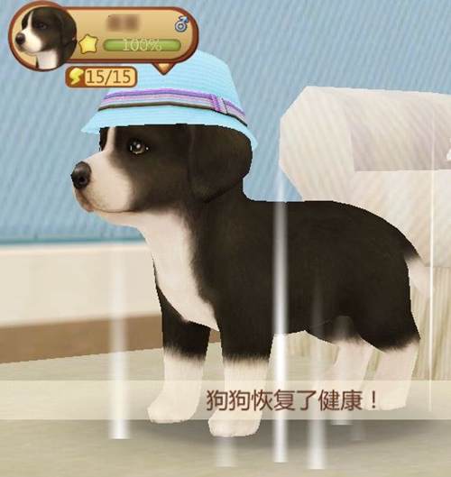 心动小狗