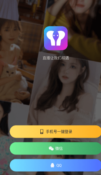 大象直播