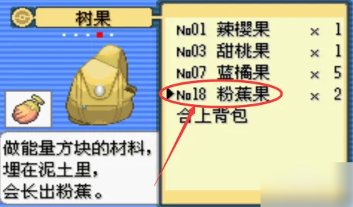 精灵宝可梦漆黑的魅影
