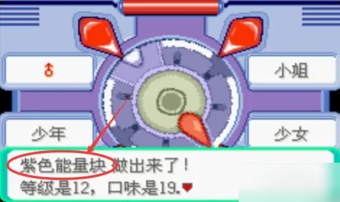 精灵宝可梦漆黑的魅影