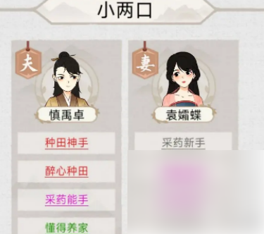 水乡芳华录