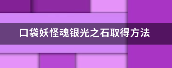 口袋妖怪银魂