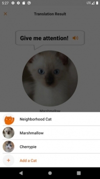 喵说app