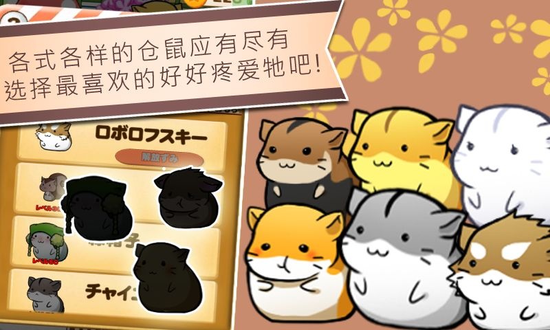 仓鼠的日常版