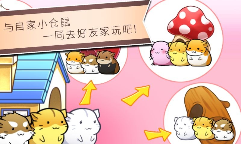 仓鼠的日常版