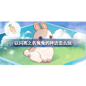 以闪亮之名兔兔的拜访怎么玩