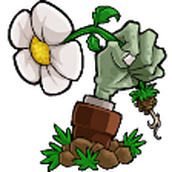 植物大战僵尸ST版