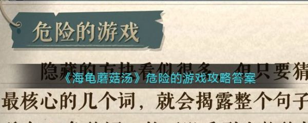 海龟蘑菇汤