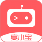 宴小宝