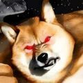 肌肉柴犬无限生命