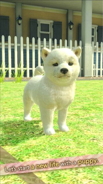与狗同行免费正版