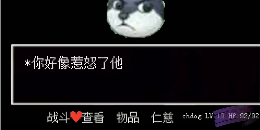 狗头卡包下载最新版