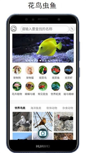 拍照识万物
