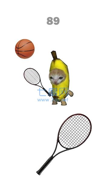 猫咪网球竞赛CatMeowTennis游戏下载