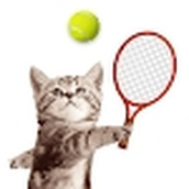 猫咪网球竞赛CatMeowTennis游戏下载