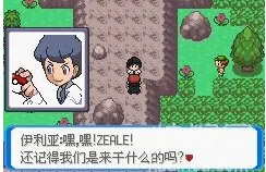口袋妖怪