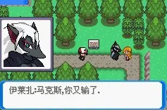 口袋妖怪