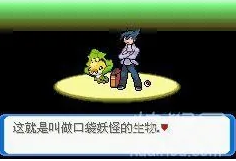 口袋妖怪