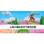 心动小镇彩虹天气观鸟指南