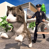 极速流浪猫安卓下载