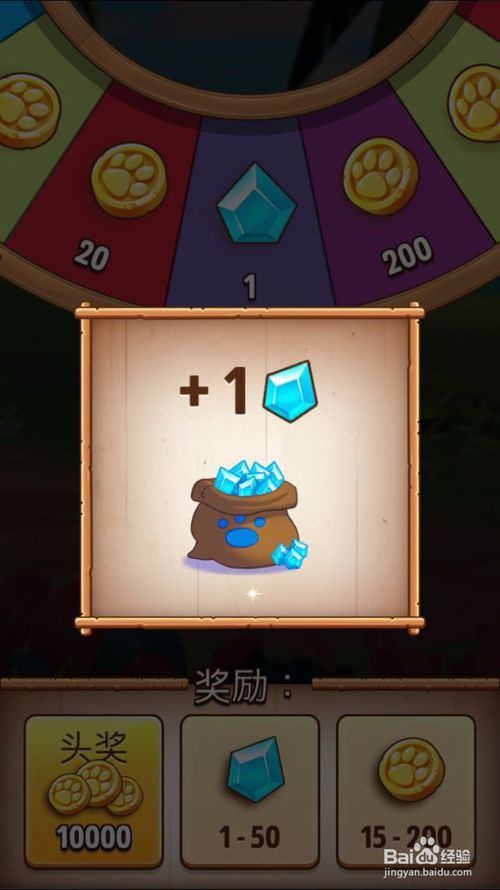 我的汉克狗