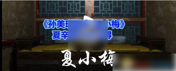 孙美琪疑案夏小梅